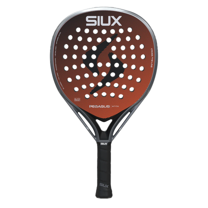 Siux Pegasus Elite 4 2026
