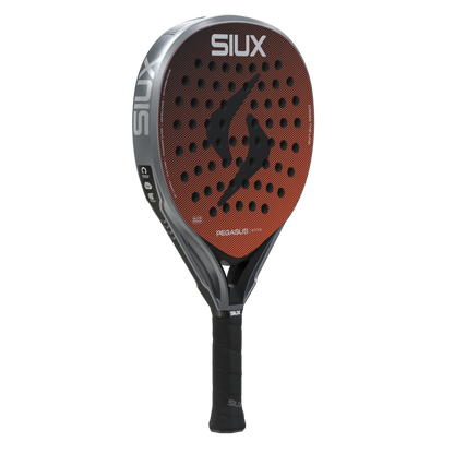 Siux Pegasus Elite 4 2026