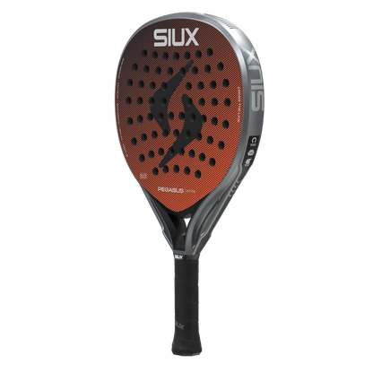 Siux Pegasus Elite 4 2026