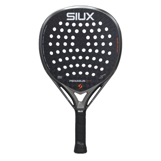 Siux Pegasus Pro 2026 Storm Grey